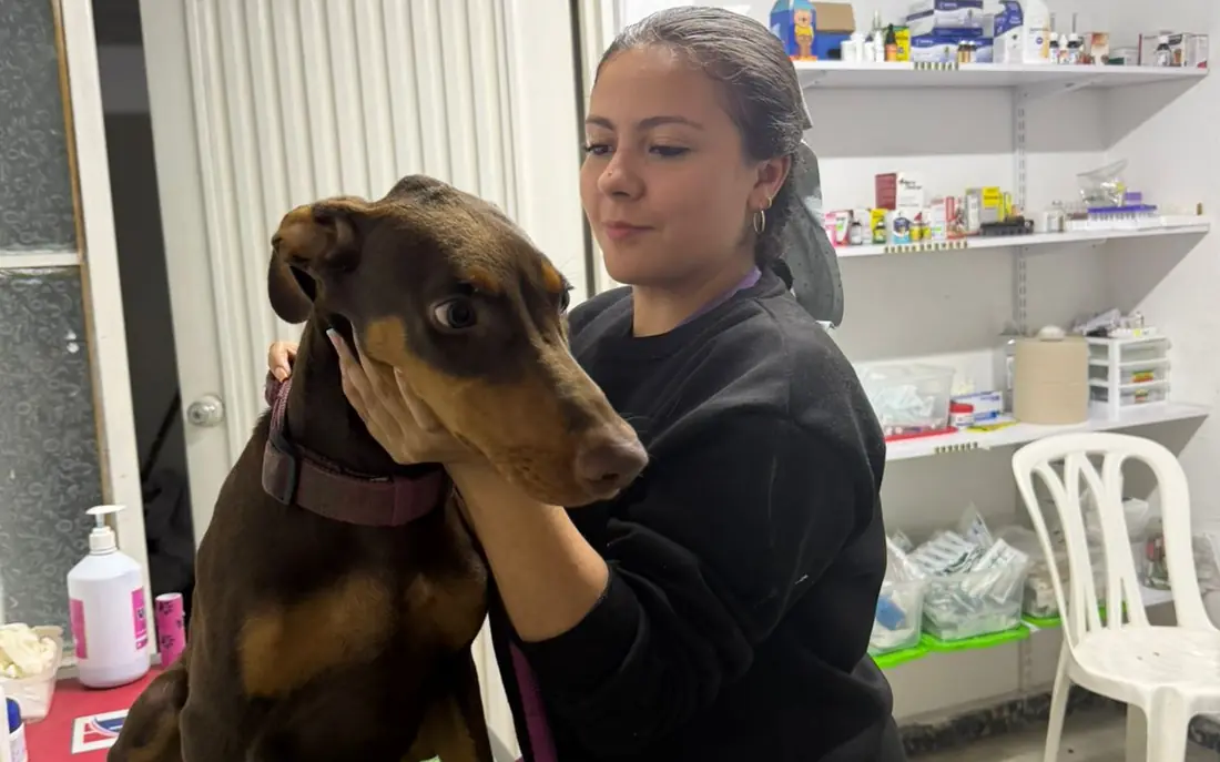 Auxiliar de La Comarca Veterinaria sujetando con cariño a un perro sobre la mesa de exploración
