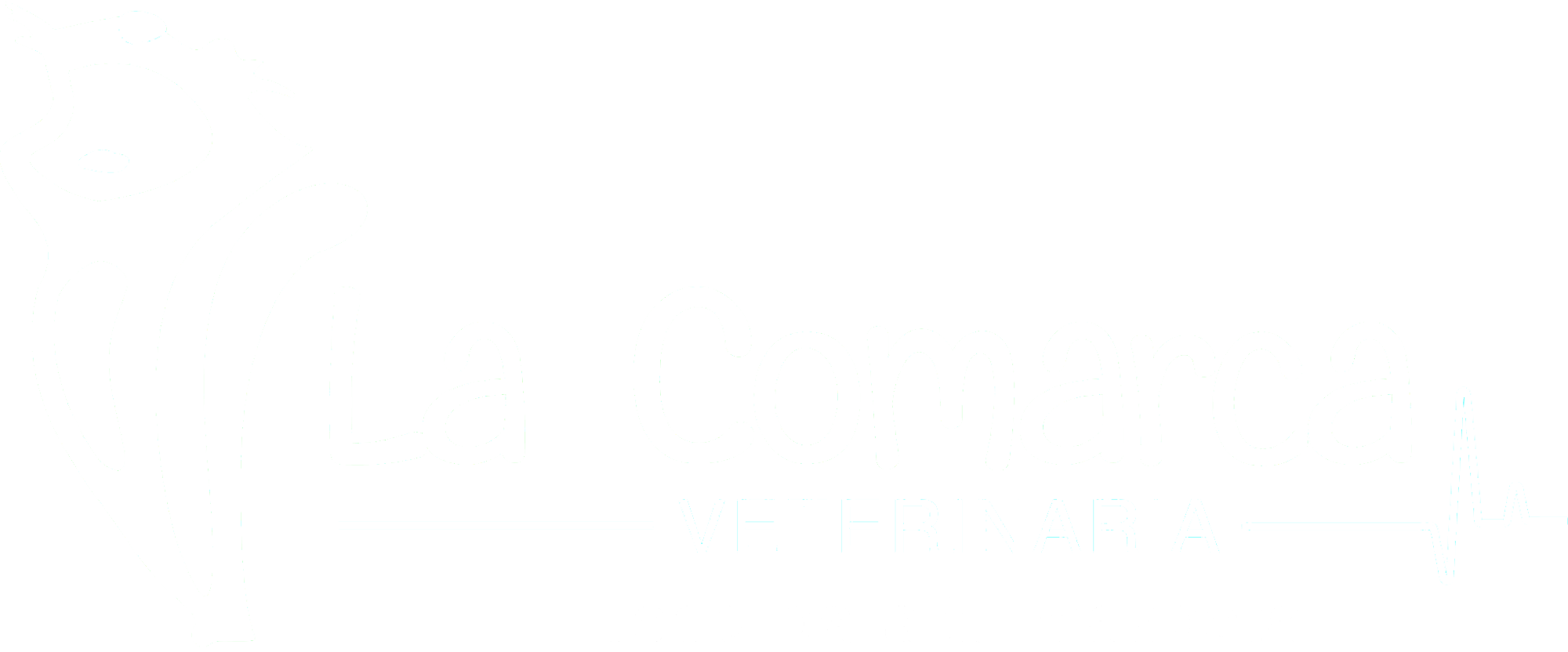 La Comarca Veterinaria | Salud y Bienestar para Mascotas